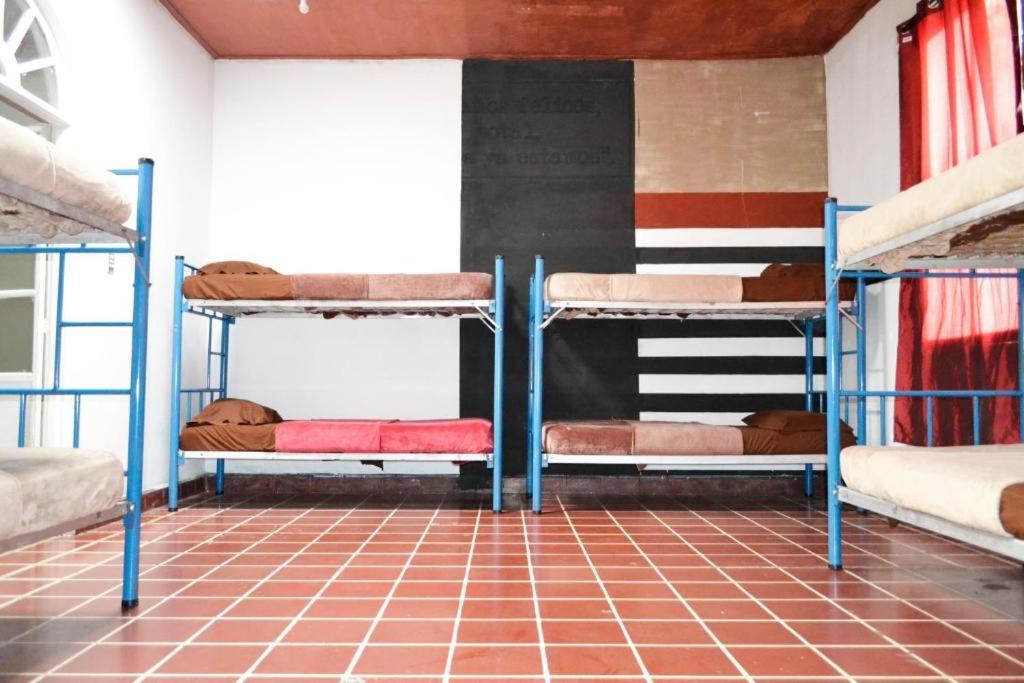 4 Grados Hostal Bed & Breakfast Guatemala City Exterior photo